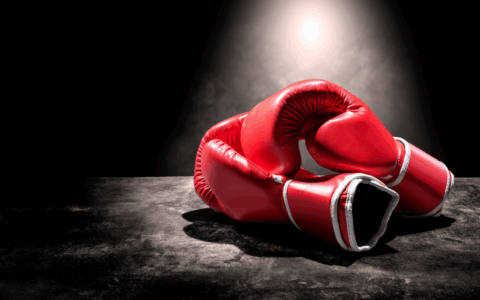 A Lodi la boxe sale sul palco per sostenere l’Unione Ciechi e degli Ipovedenti