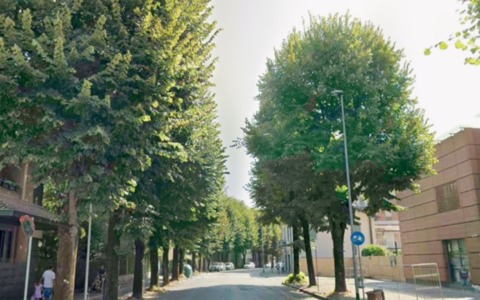 Operaio schiacciato tra la portiera del camion e il muro: interviene l’elisoccorso