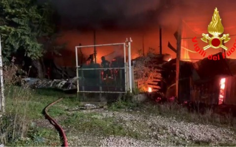 Incendio nella notte a Sant’Angelo Lodigiano: Vigili del Fuoco in azione per salvare quattro cavalli
