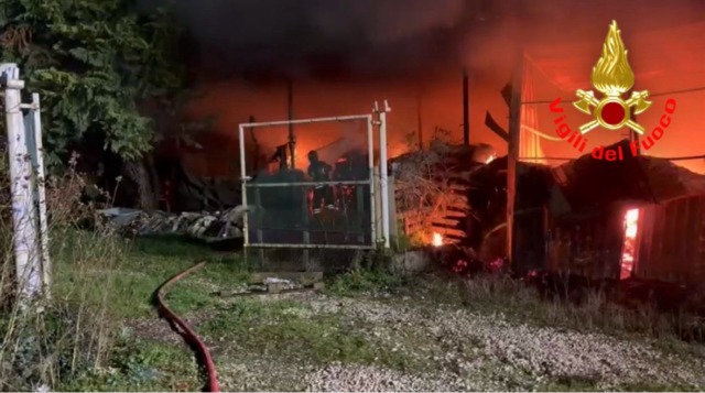 Incendio nella notte a Sant’Angelo Lodigiano: Vigili del Fuoco in azione per salvare quattro cavalli