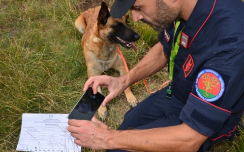 Officina abusiva e gestione illecita di rifiuti: scoperto anche un cane maltrattato