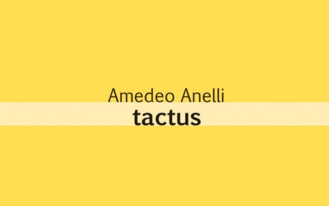 Anteprima lodigiana per Tactus, la nuova silloge del poeta Amedeo Anelli