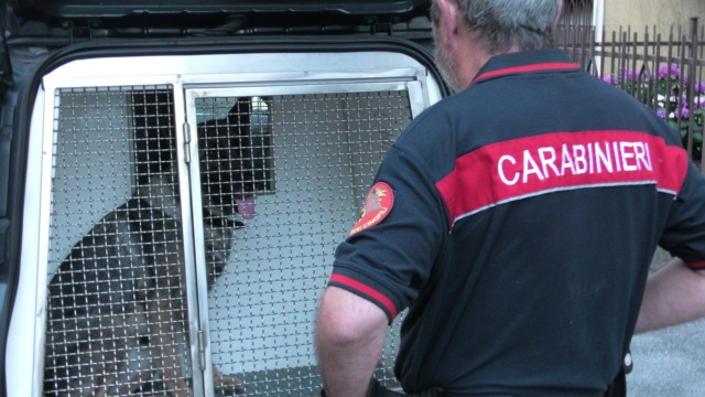 Operazione Delivery: smantellata rete del traffico di hashish tra Lodi e San Donato Milanese
