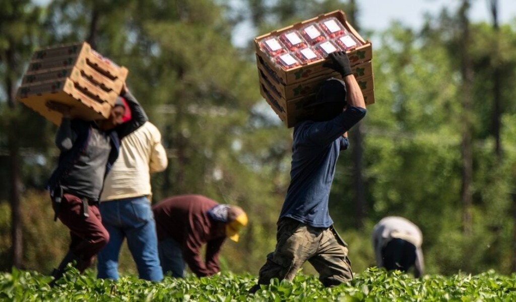Lavoro agricolo di qualità, al via a Lodi il percorso per contrastare sfruttamento e lavoro nero