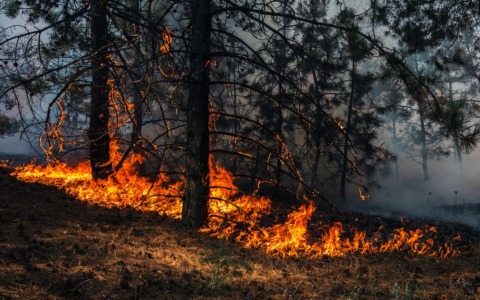 Incendi boschivi: in Lombardia è codice arancione, massima prudenza anche nel Lodigiano
