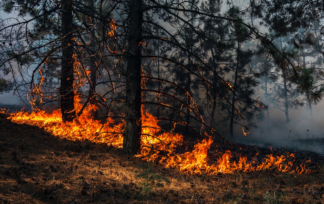 Incendi boschivi: in Lombardia è codice arancione, massima prudenza anche nel Lodigiano