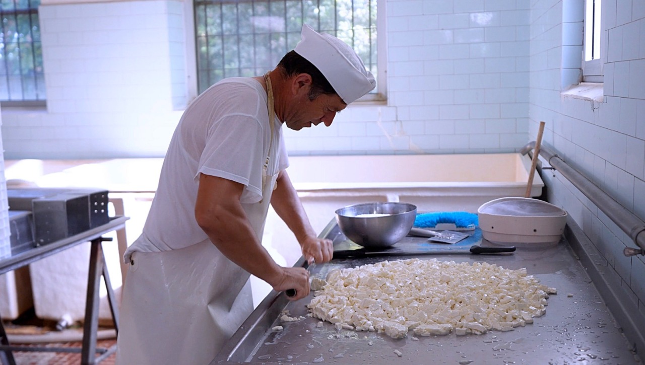 Debutta il portale Oltre Lodi per la promozione delle eccellenze agroalimentari